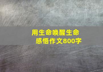 用生命唤醒生命感悟作文800字