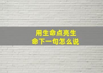 用生命点亮生命下一句怎么说