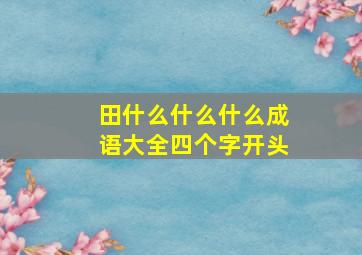 田什么什么什么成语大全四个字开头