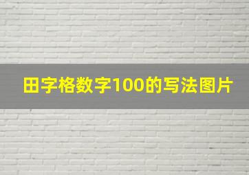 田字格数字100的写法图片