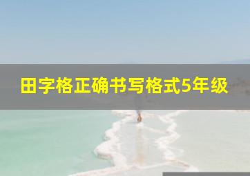 田字格正确书写格式5年级