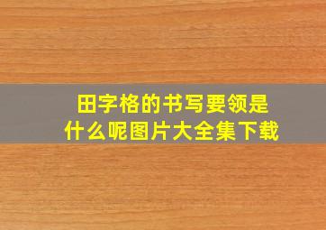 田字格的书写要领是什么呢图片大全集下载