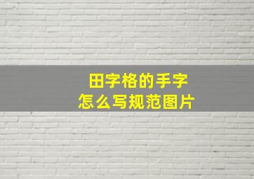 田字格的手字怎么写规范图片