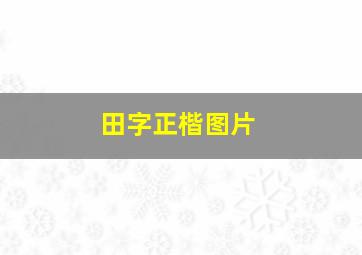 田字正楷图片