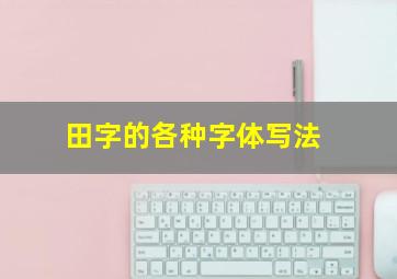 田字的各种字体写法