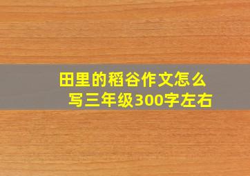 田里的稻谷作文怎么写三年级300字左右