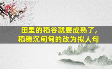 田里的稻谷就要成熟了,稻穗沉甸甸的改为拟人句