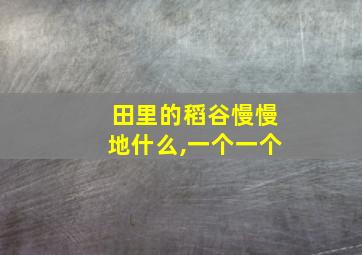 田里的稻谷慢慢地什么,一个一个