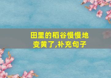 田里的稻谷慢慢地变黄了,补充句子