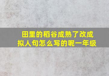 田里的稻谷成熟了改成拟人句怎么写的呢一年级