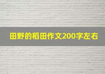 田野的稻田作文200字左右