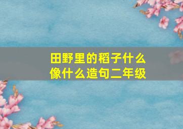 田野里的稻子什么像什么造句二年级