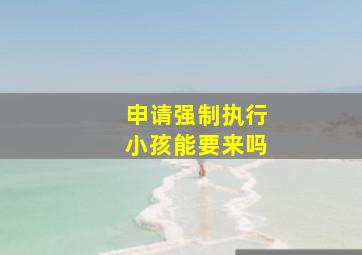 申请强制执行小孩能要来吗