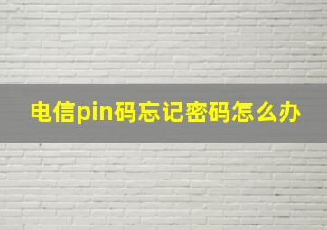 电信pin码忘记密码怎么办