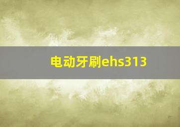 电动牙刷ehs313