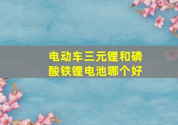 电动车三元锂和磷酸铁锂电池哪个好