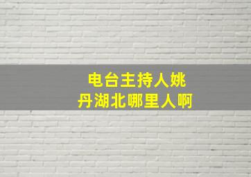 电台主持人姚丹湖北哪里人啊