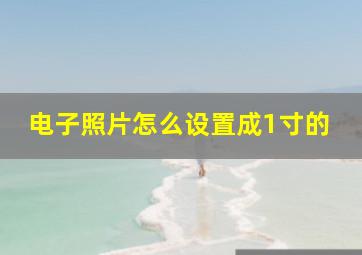 电子照片怎么设置成1寸的