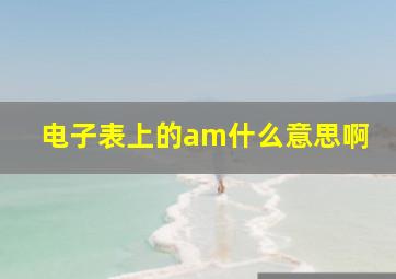 电子表上的am什么意思啊