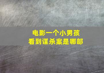 电影一个小男孩看到谋杀案是哪部