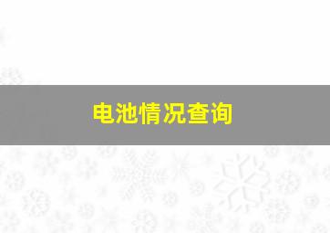 电池情况查询