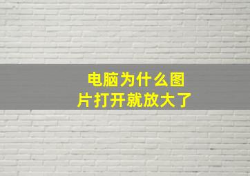 电脑为什么图片打开就放大了