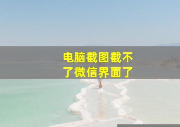 电脑截图截不了微信界面了