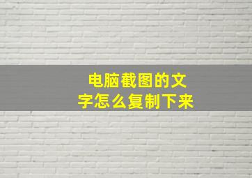 电脑截图的文字怎么复制下来