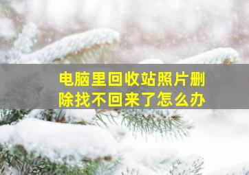 电脑里回收站照片删除找不回来了怎么办