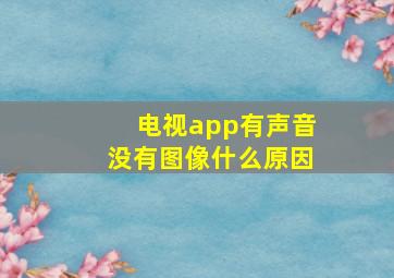 电视app有声音没有图像什么原因