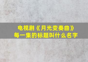 电视剧《月光变奏曲》每一集的标题叫什么名字