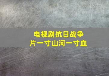 电视剧抗日战争片一寸山河一寸血