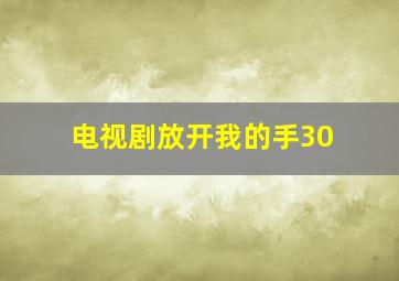 电视剧放开我的手30