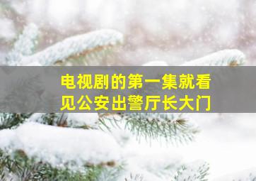 电视剧的第一集就看见公安出警厅长大门