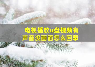 电视播放u盘视频有声音没画面怎么回事