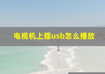 电视机上插usb怎么播放