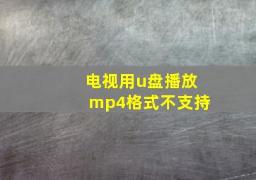 电视用u盘播放mp4格式不支持