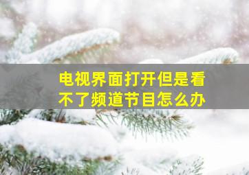 电视界面打开但是看不了频道节目怎么办