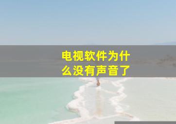 电视软件为什么没有声音了