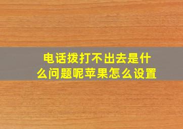 电话拨打不出去是什么问题呢苹果怎么设置