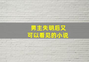 男主失明后又可以看见的小说