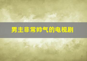 男主非常帅气的电视剧