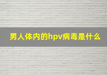 男人体内的hpv病毒是什么