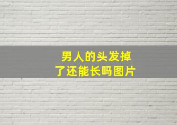 男人的头发掉了还能长吗图片