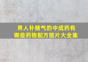 男人补精气的中成药有哪些药物配方图片大全集