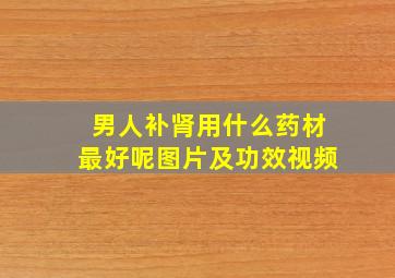 男人补肾用什么药材最好呢图片及功效视频