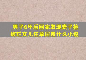 男子6年后回家发现妻子捡破烂女儿住草房是什么小说