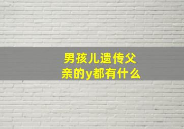 男孩儿遗传父亲的y都有什么