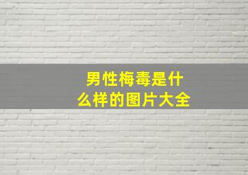 男性梅毒是什么样的图片大全