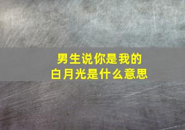 男生说你是我的白月光是什么意思